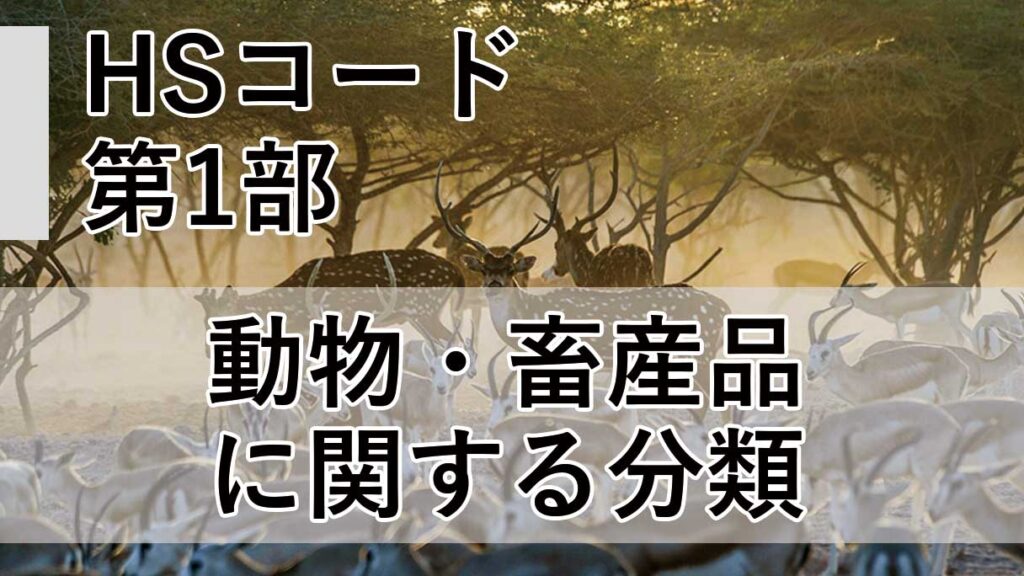 HSコード第一部とは何か｜動物・畜産品に関する分類と実務上の注意点